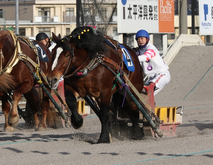 レースの様子