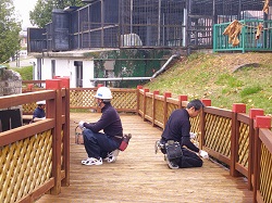 写真：塗装奉仕活動の様子