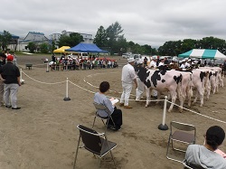 画像：ショウの様子