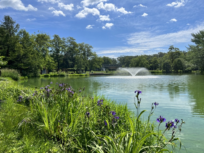 緑ヶ丘公園十勝池