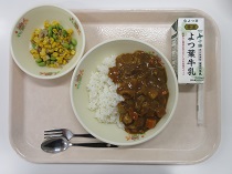 写真:8月28日A献立