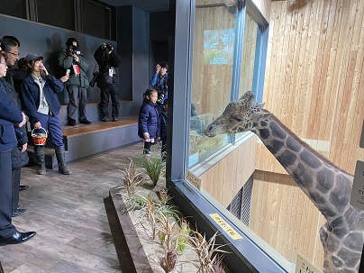 キリン館屋内展示2階でキリンの目線にて