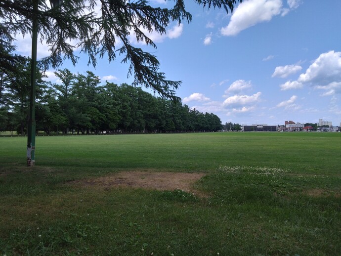 緑ヶ丘公園写真