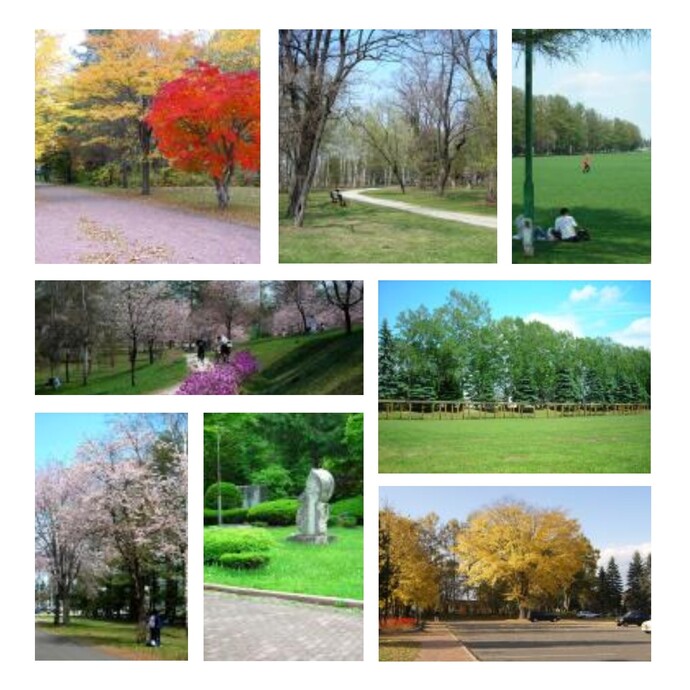 緑ヶ丘公園写真