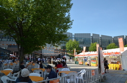 写真：市長写真