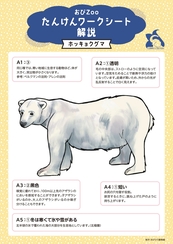 ワークシートの例（ホッキョクグマの解説）
