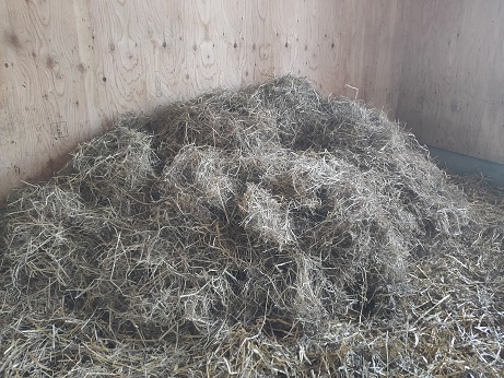 写真:どさんこ餌