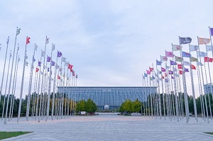 派遣　朝陽市庁舎