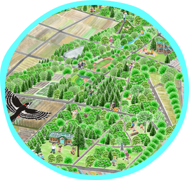 鳥観図