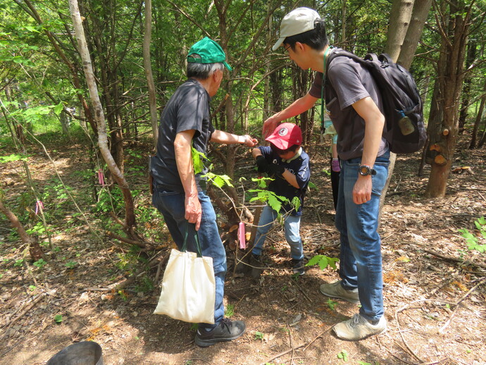 植樹活動を実施
