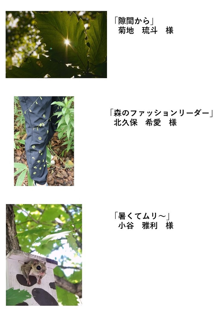 優良賞2