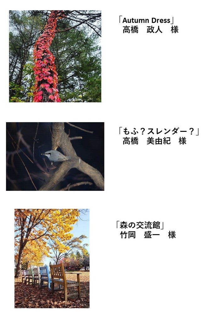 優良賞5