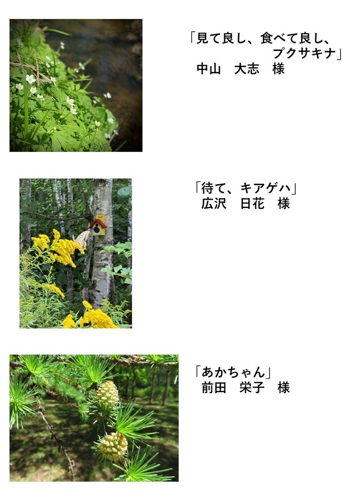 優良賞6