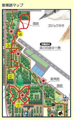 地図:散策路