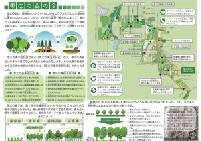 リーフレット:帯広の森のいま