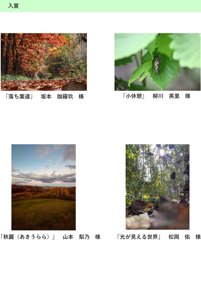 森の風景・生き物部門 入賞1