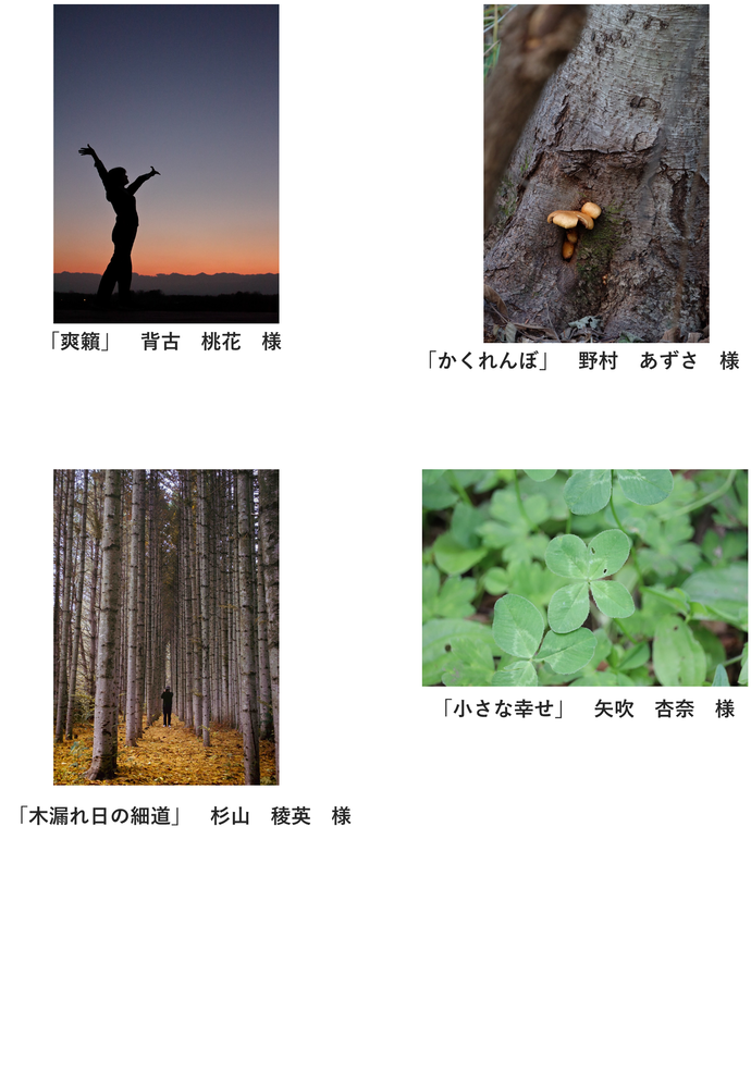 森の風景・生き物部門 入賞2