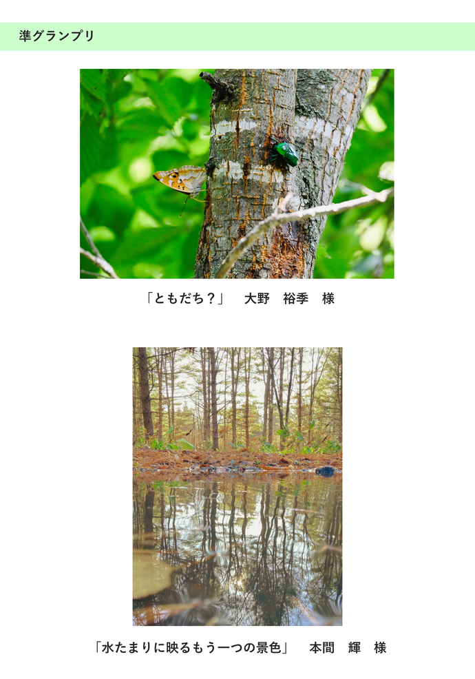 森の風景・生き物部門 準グランプリ