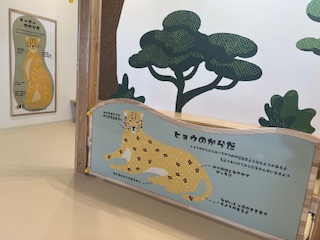 ヒョウとチーターのからだ
