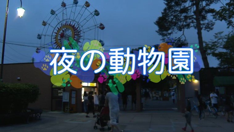 おびひろ動物園プロモーション動画 夜の動物園